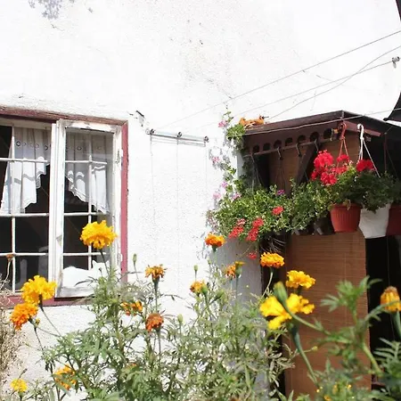 Private In Old Town Homestay Misevici